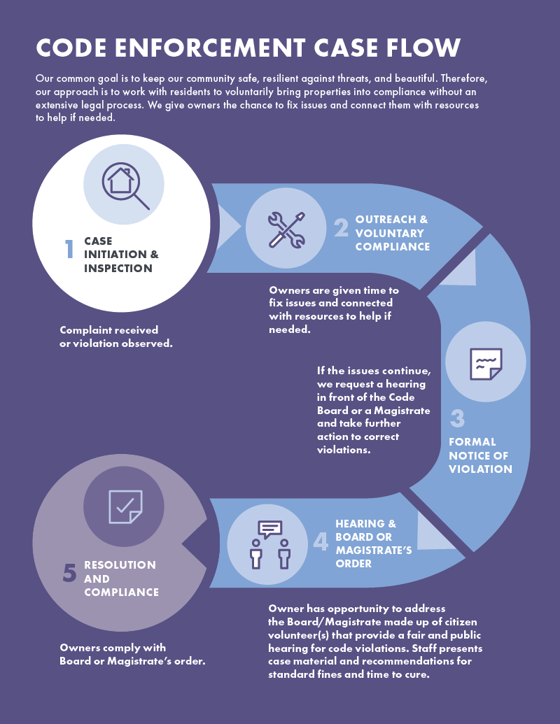 Case flow infographic